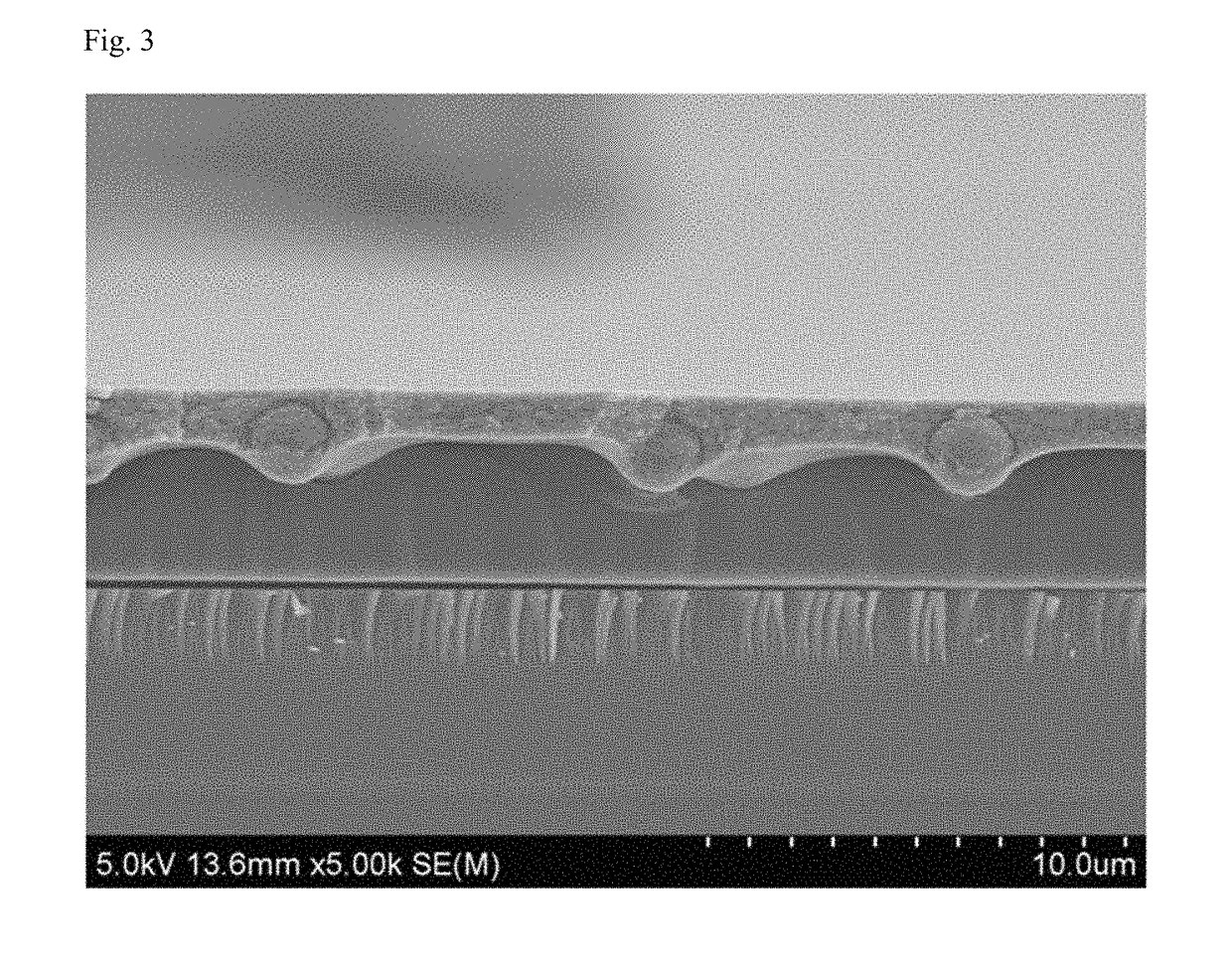 Substrate for an organic light-emitting device and method for manufacturing the same