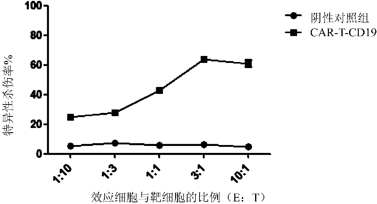 Single-chain antibody targeting CD19, chimeric antigen receptor T cell, preparation method and application thereof