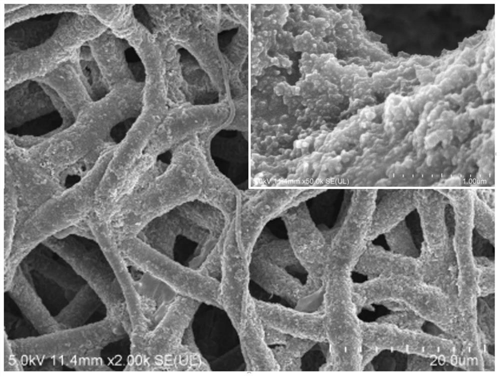 Polypyrrole/zirconium carbide/polyurethane composite fiber membrane as well as preparation method and application thereof