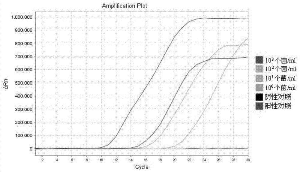 Method and detection kit for detecting mycobacterium tuberculosis complex cluster based on thermostatic technology