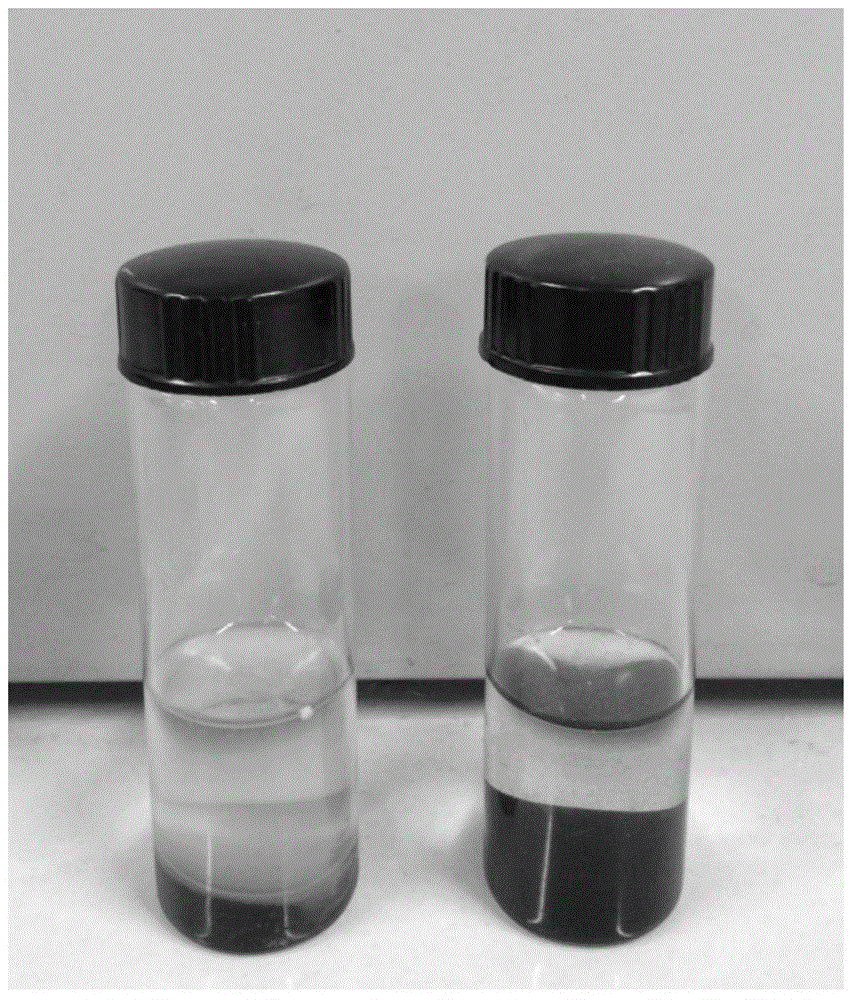 Modified FeS nano-particle as well as preparation method and application thereof