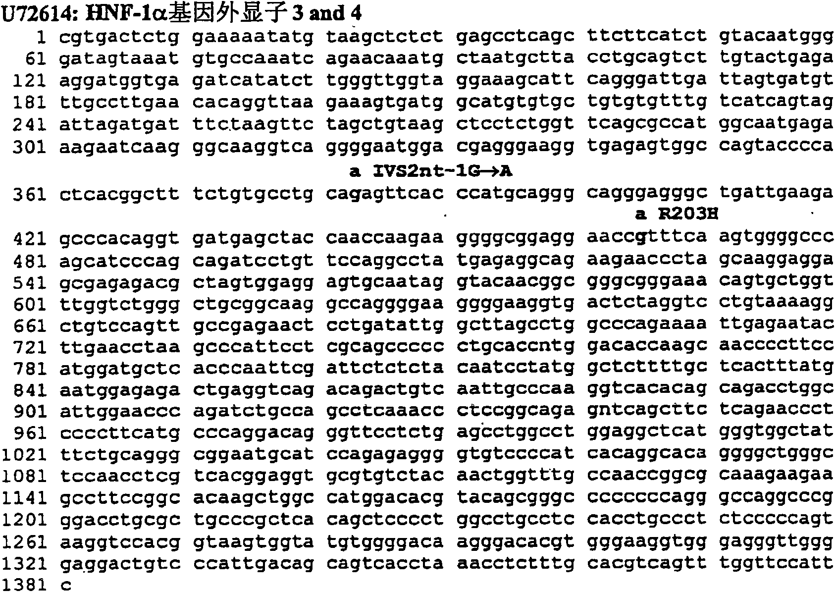 Method for estimating danger of diabetes typ B developed in the human species of Chinese bloodline and composition