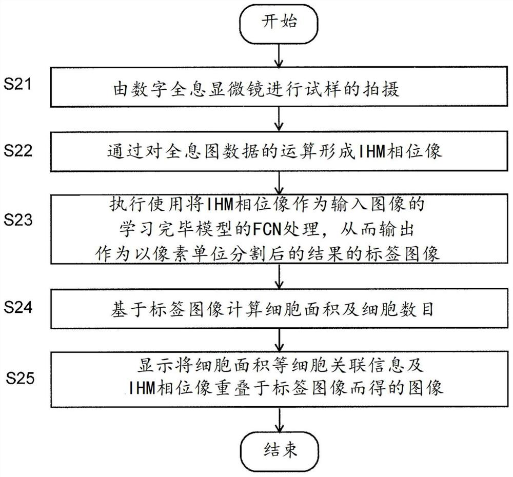 Cellular image analysis method, cellular image analysis device, and learning model creation method