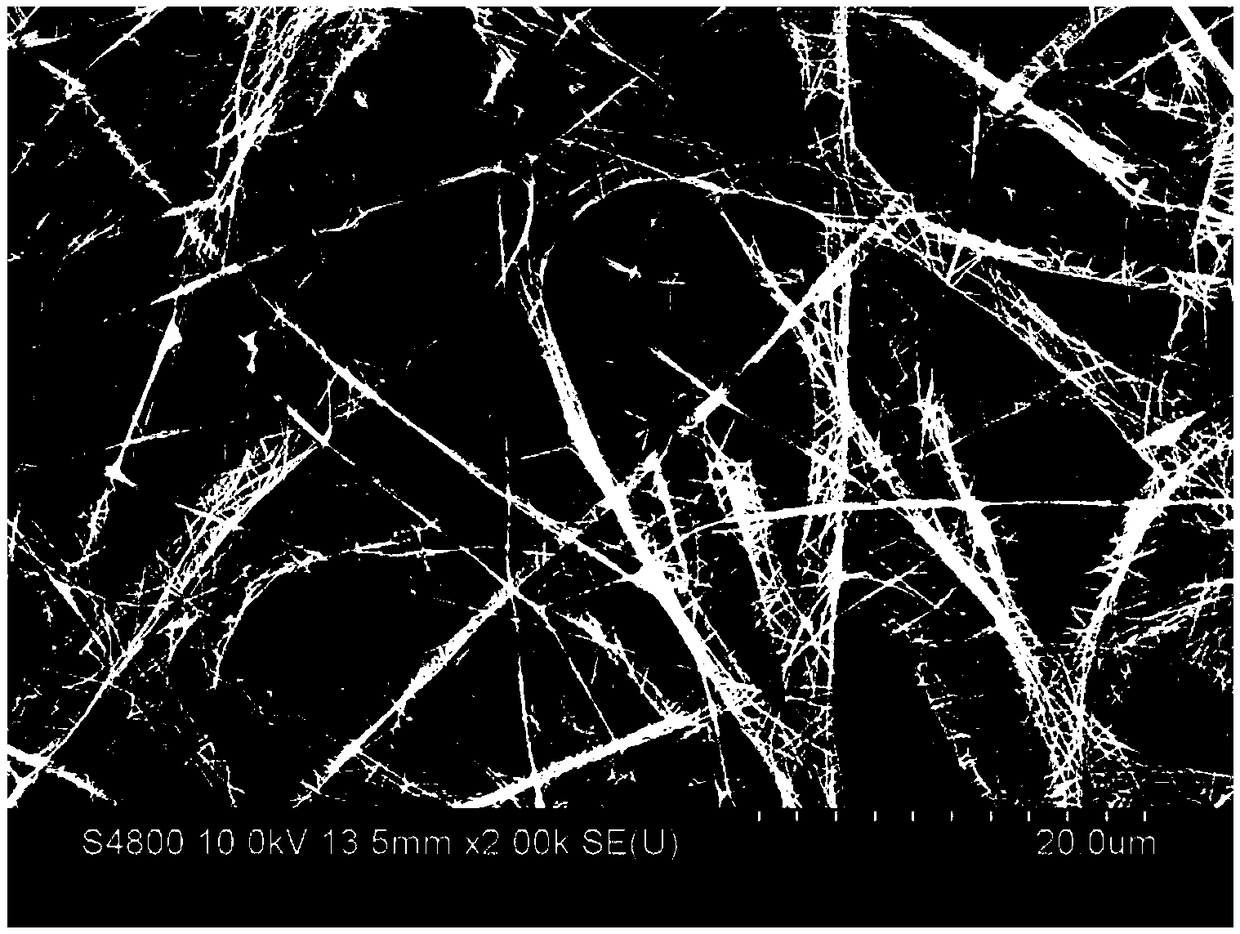 Electrostatic spinning method for extracellular matrix and electrostatic spinning fiber