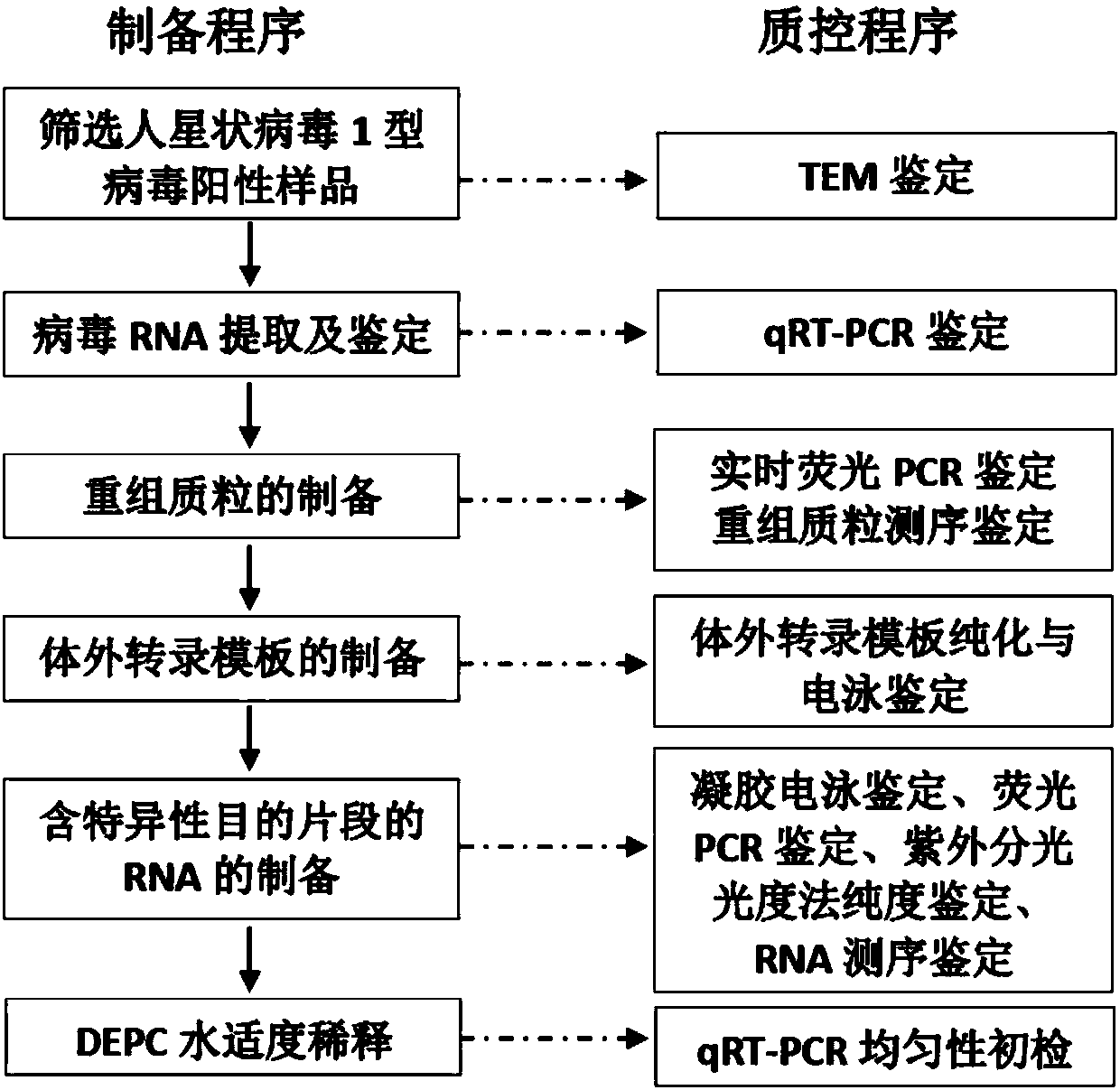 Human astrovirus type 1 nucleic acid detection standard substance and preparation method and application thereof