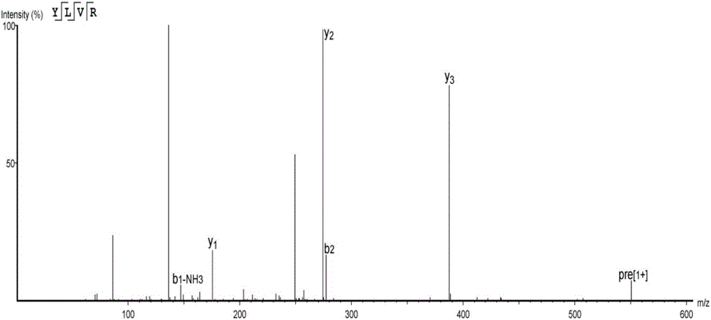 Antihypertensive peptide and application thereof