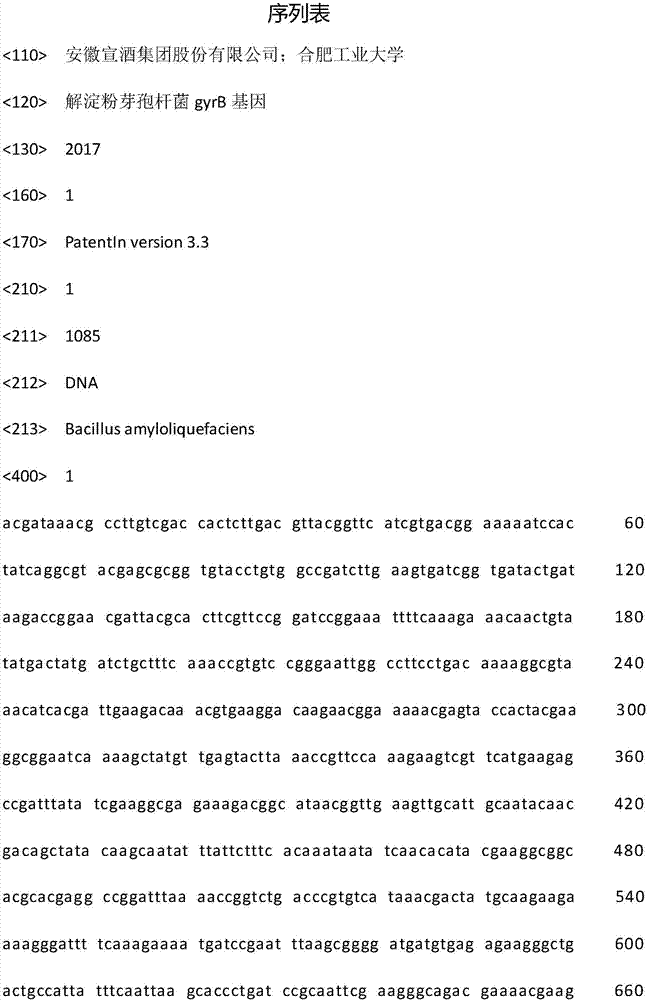 Tetramethylpyrazine bacillus amyloliquefaciens, and applications of sesame-flavor baijiu special-purpose mouldy bran