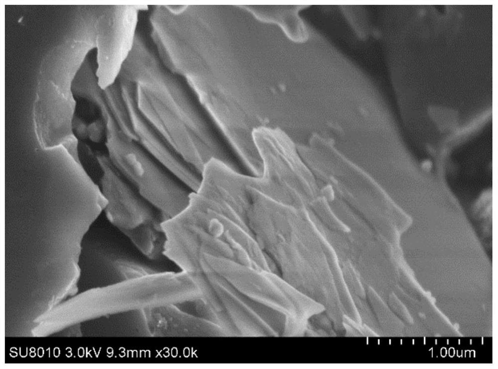 Preparation method and application of biomass-based carbon nanosheet/epoxy composite coating