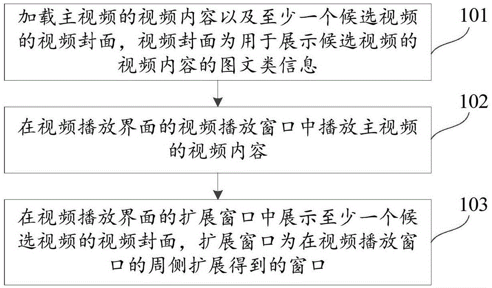 Video display method and apparatus