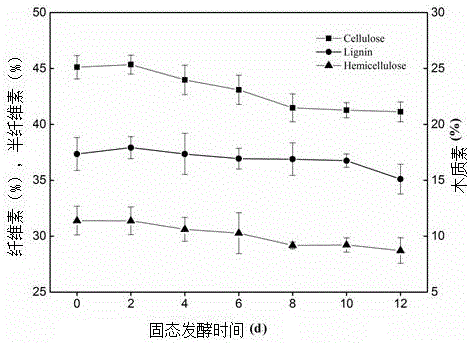 Efficient oil-producing filamentous fungus mucor circinelloides Q-531 and application thereof