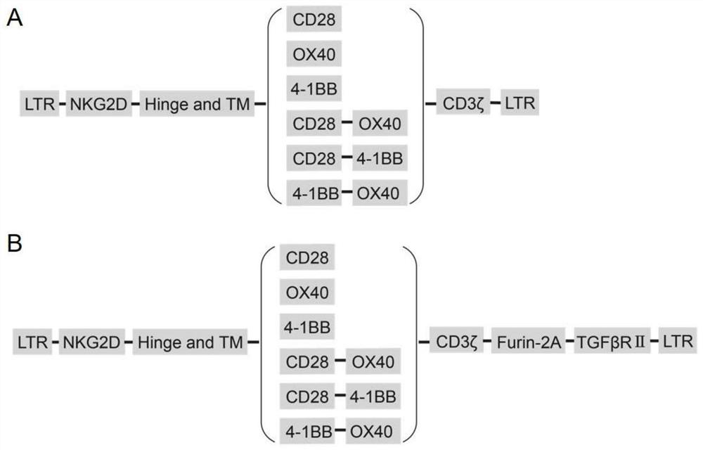 Armed specific chimeric antigen receptor cells targeting TGF-β and its preparation method and application