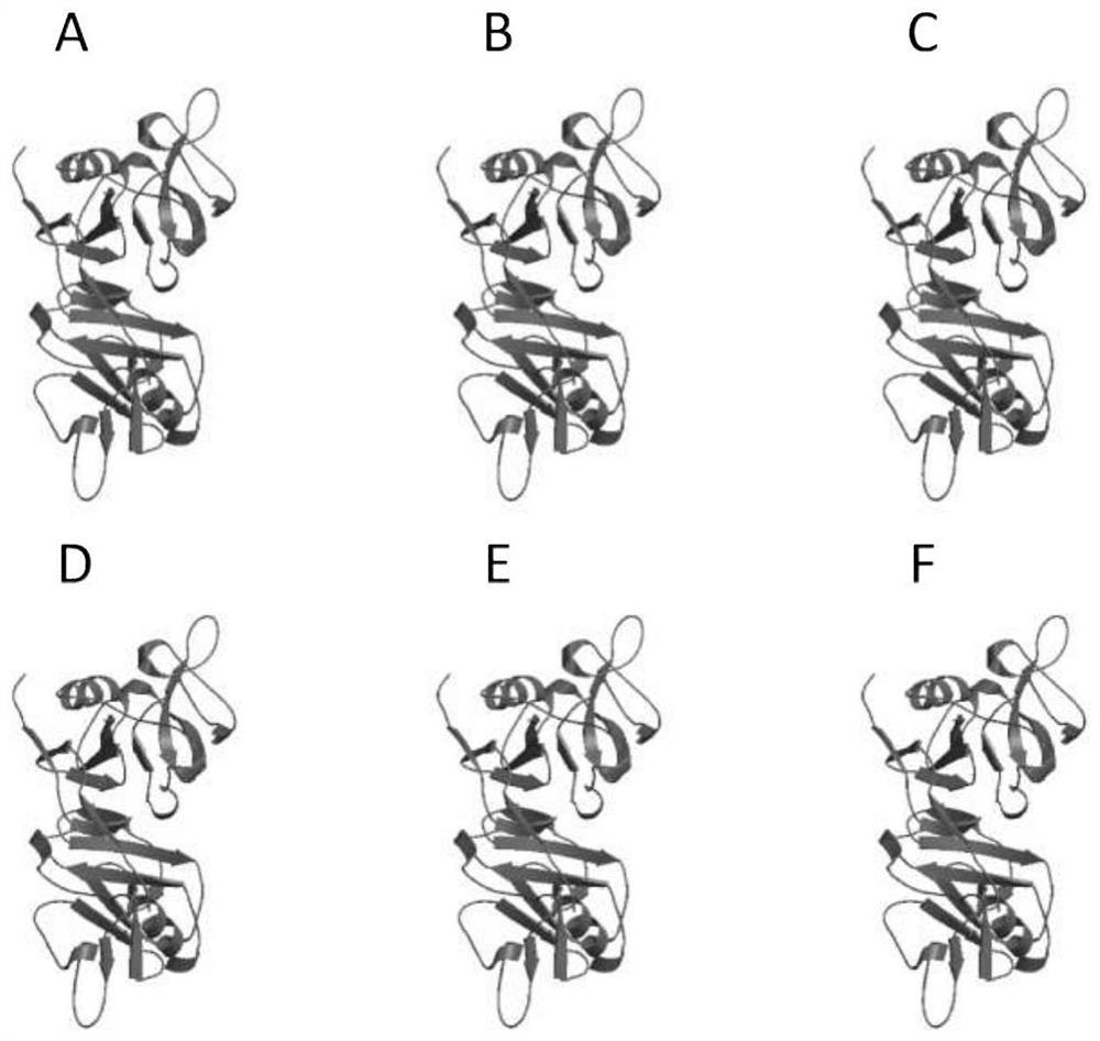 Armed specific chimeric antigen receptor cells targeting TGF-β and its preparation method and application