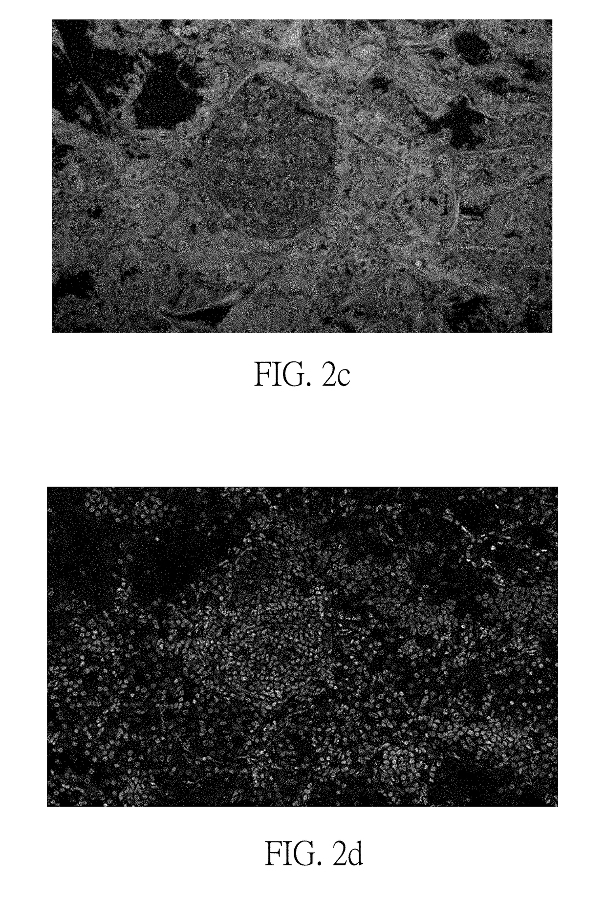 Pseudo h&e image producing method and optical system using same