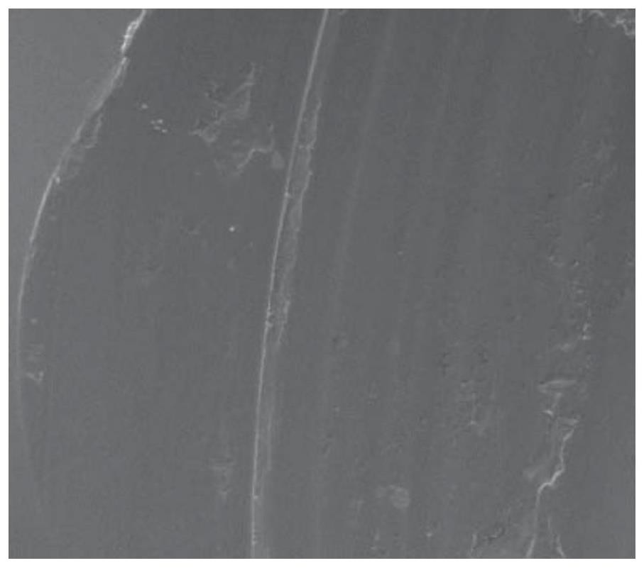 Abrasion rapid detection device and method based on abrasive particle image automatic acquisition and analysis