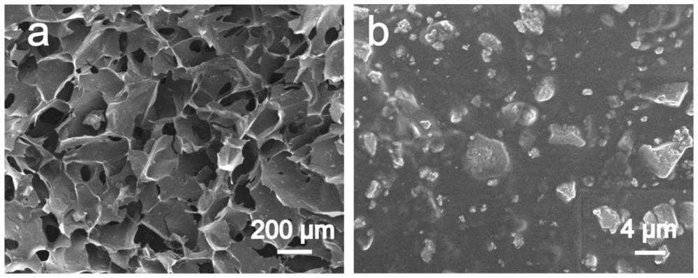 A kind of rare earth phosphate/bioactive polymer three-dimensional porous composite material, its preparation method and application