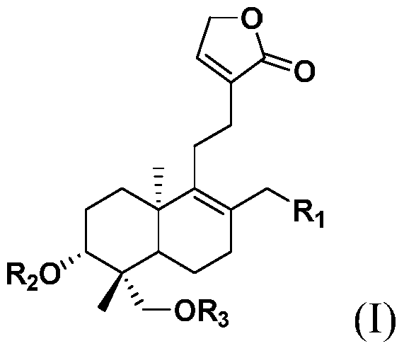 Andrographolide derivatives and their preparation methods and uses