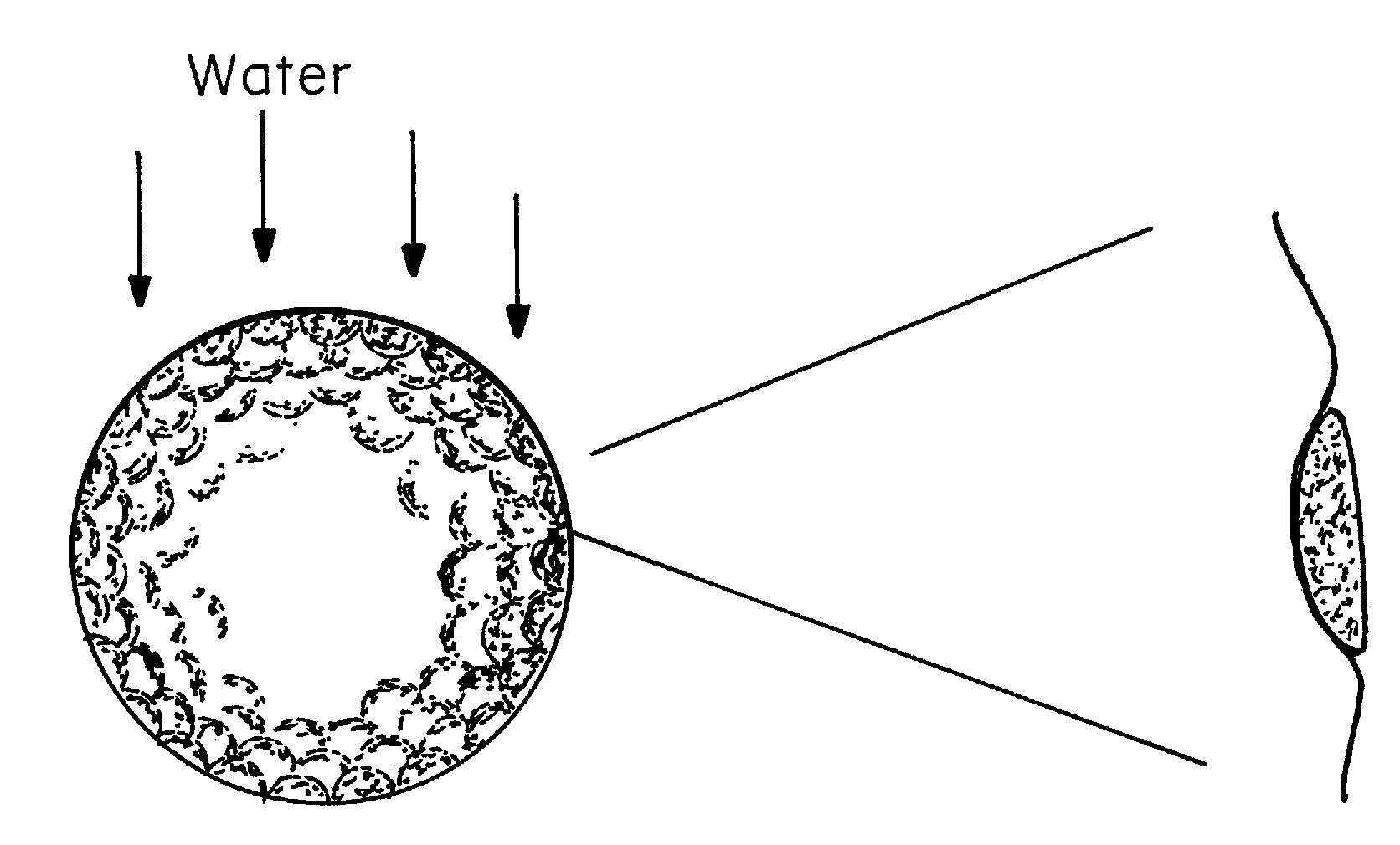 Water Repellant Golf Balls Containing a Hydrophobic or Superhydrophobic Outer Layer or Coating