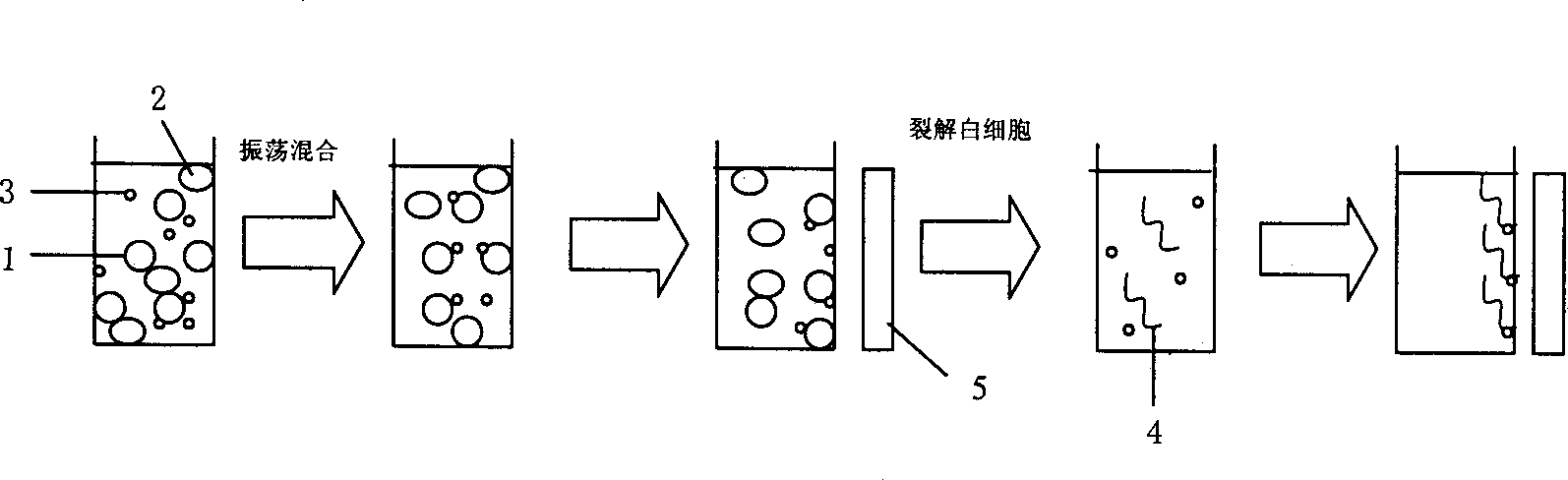 Process for separating nucleic acid from biological particles by solid-phase carrier