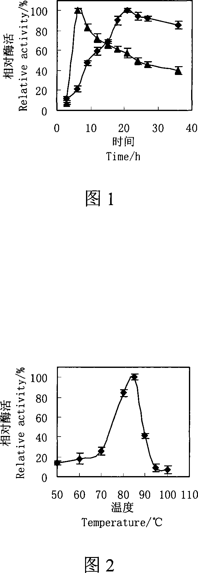 Pyrococcus produced high temperature alpha-glucosidase and enzyme producing method thereof