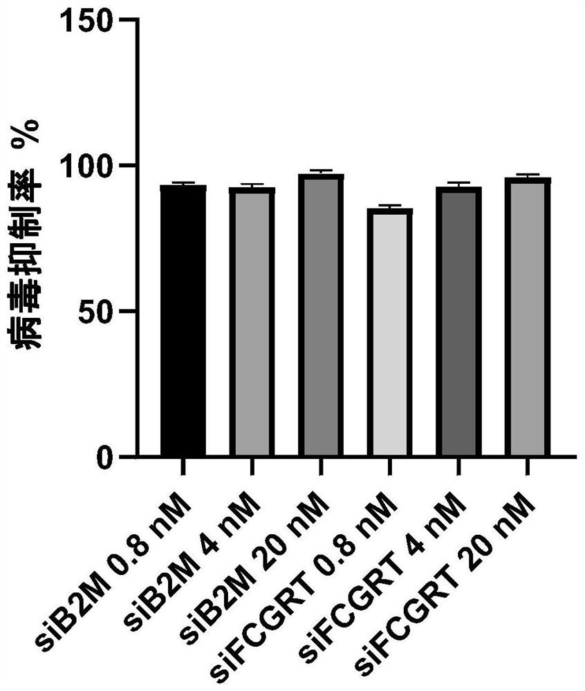 Application of tiratrocol to treatment of coxsackie virus infection