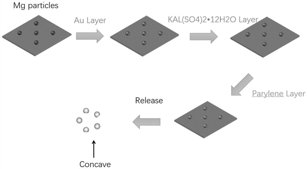 A micro motor and water purification method based on mg particles