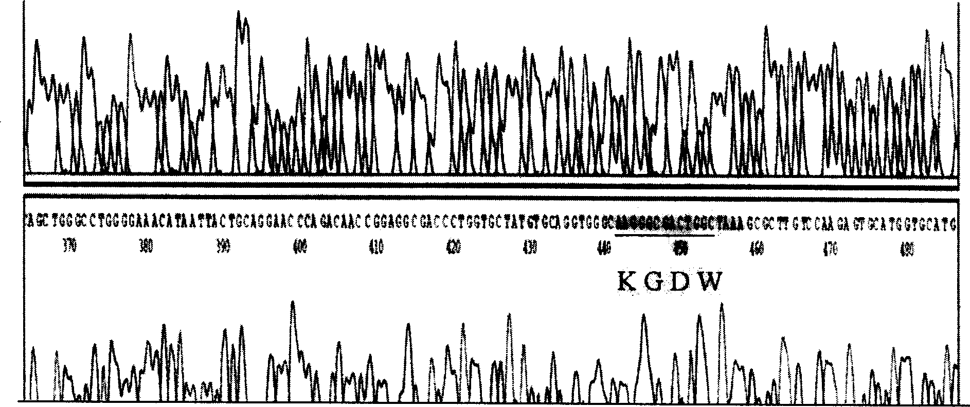 Trombolysis agent KGD - prourokinase chimaera, preparing process and application thereof