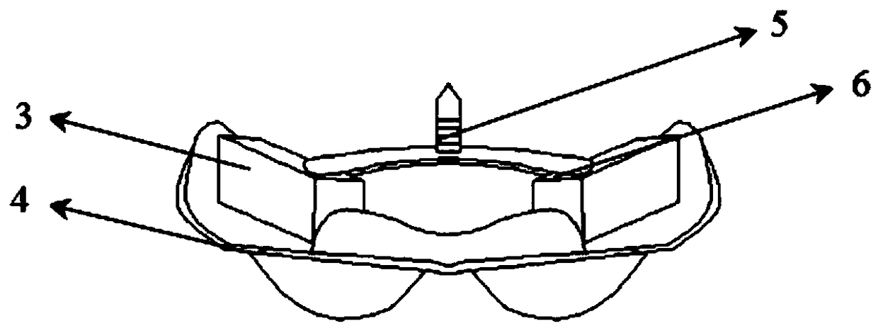 Method for determining upper and lower jaw positions using individual trays of 3D printed complete dentures