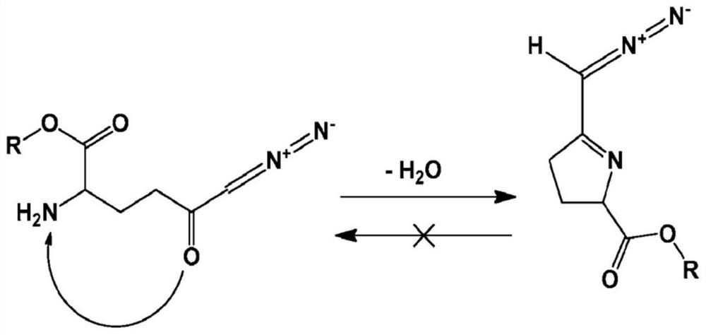 Prodrugs of Glutamine Analogs