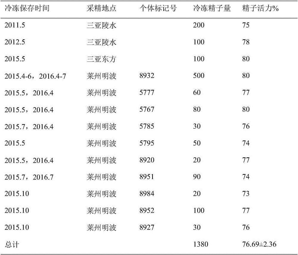 Method for establishing giant grouper sperm freezer and assisting grouper distant hybridization breeding