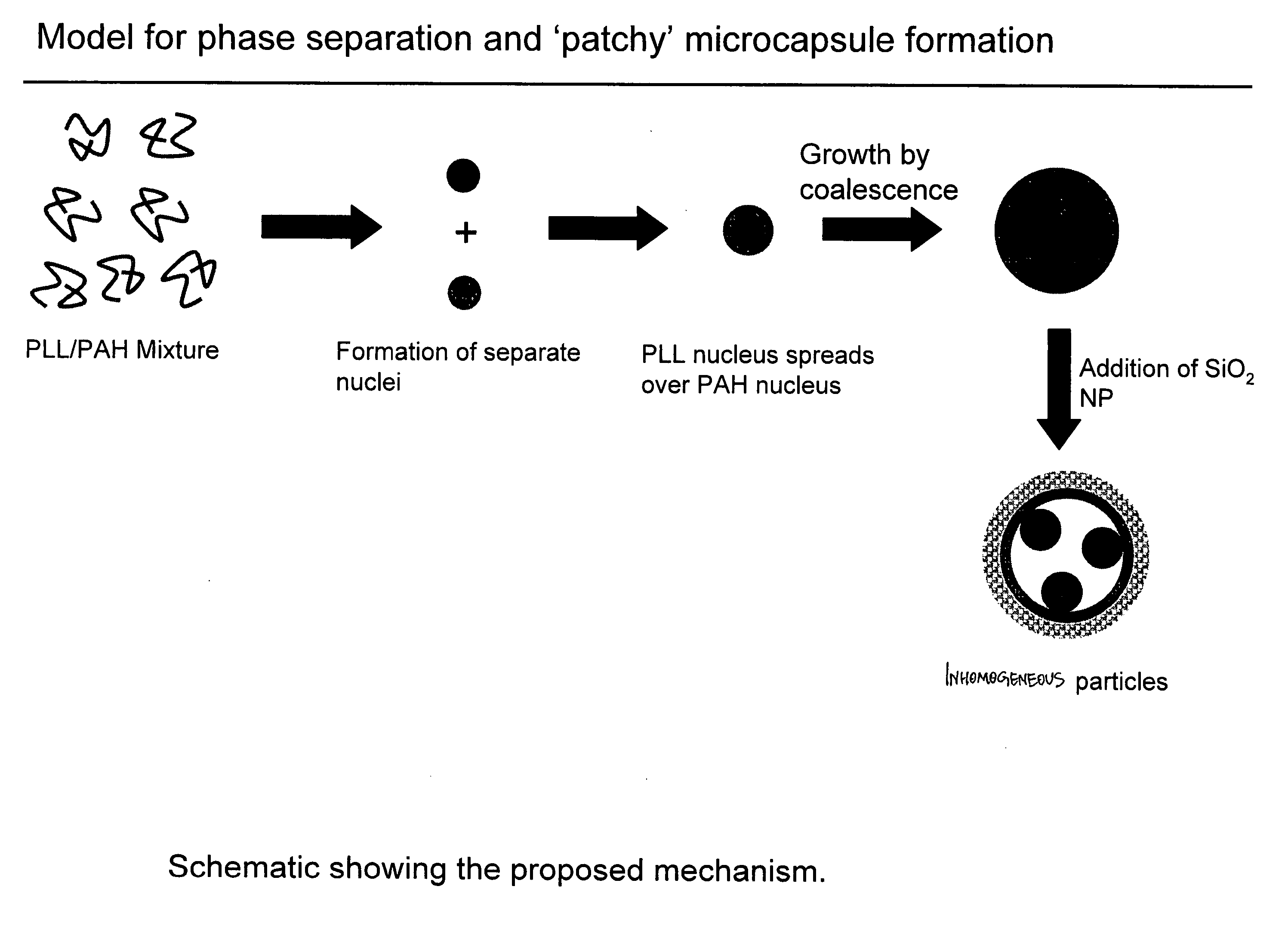 Method to fabricate inhomogeneous particles