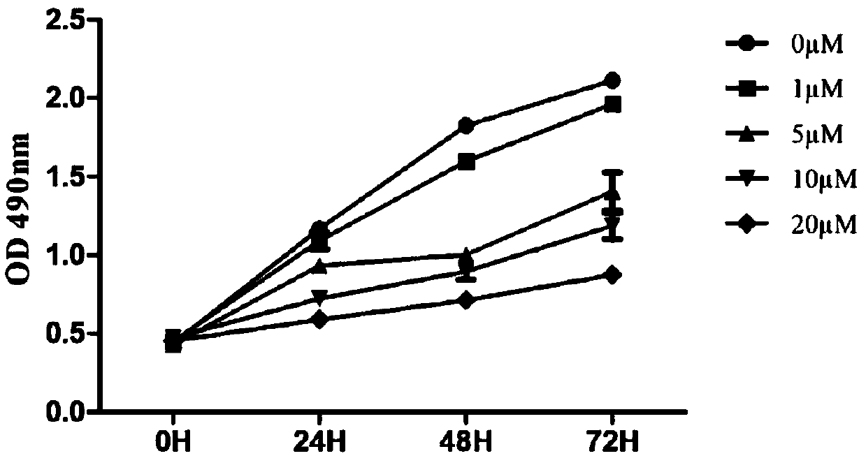 Anti-tumor compound aiming at Fyn-CD147 signal pathway target point, and preparation method and application of anti-tumor compound