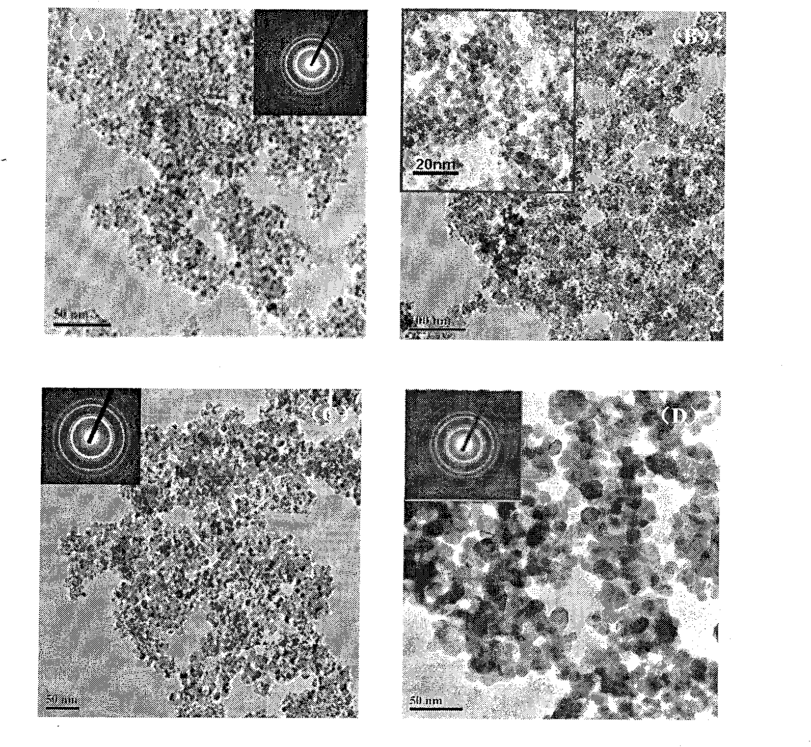 Ternary Nano catalyst in use for cellular carrier of full metal, preparation method and coating process