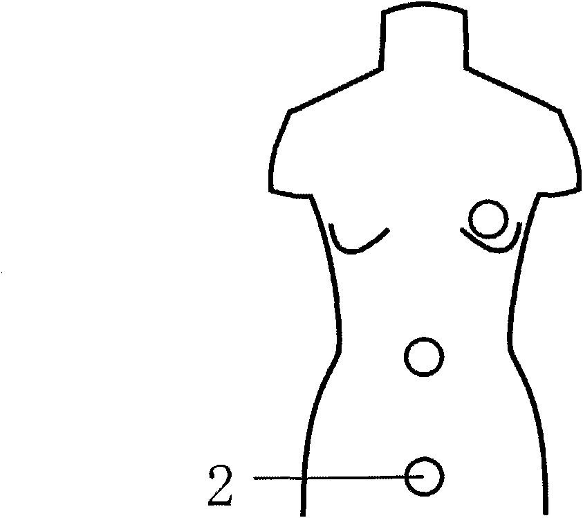 Service mannequin pressure test system