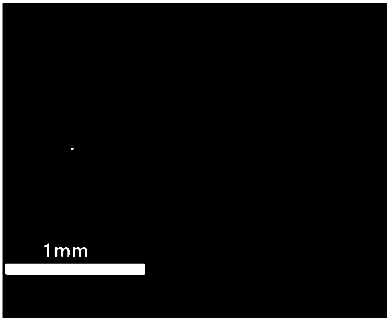 Polymer electrolyte based on fluorine-containing polyimide and its preparation method and application