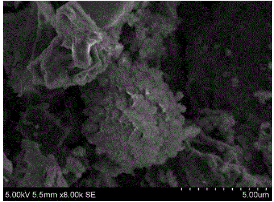 Antibacterial activated carbon composite material and preparation method thereof