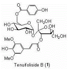 A method for synthesizing tenuifoliside B