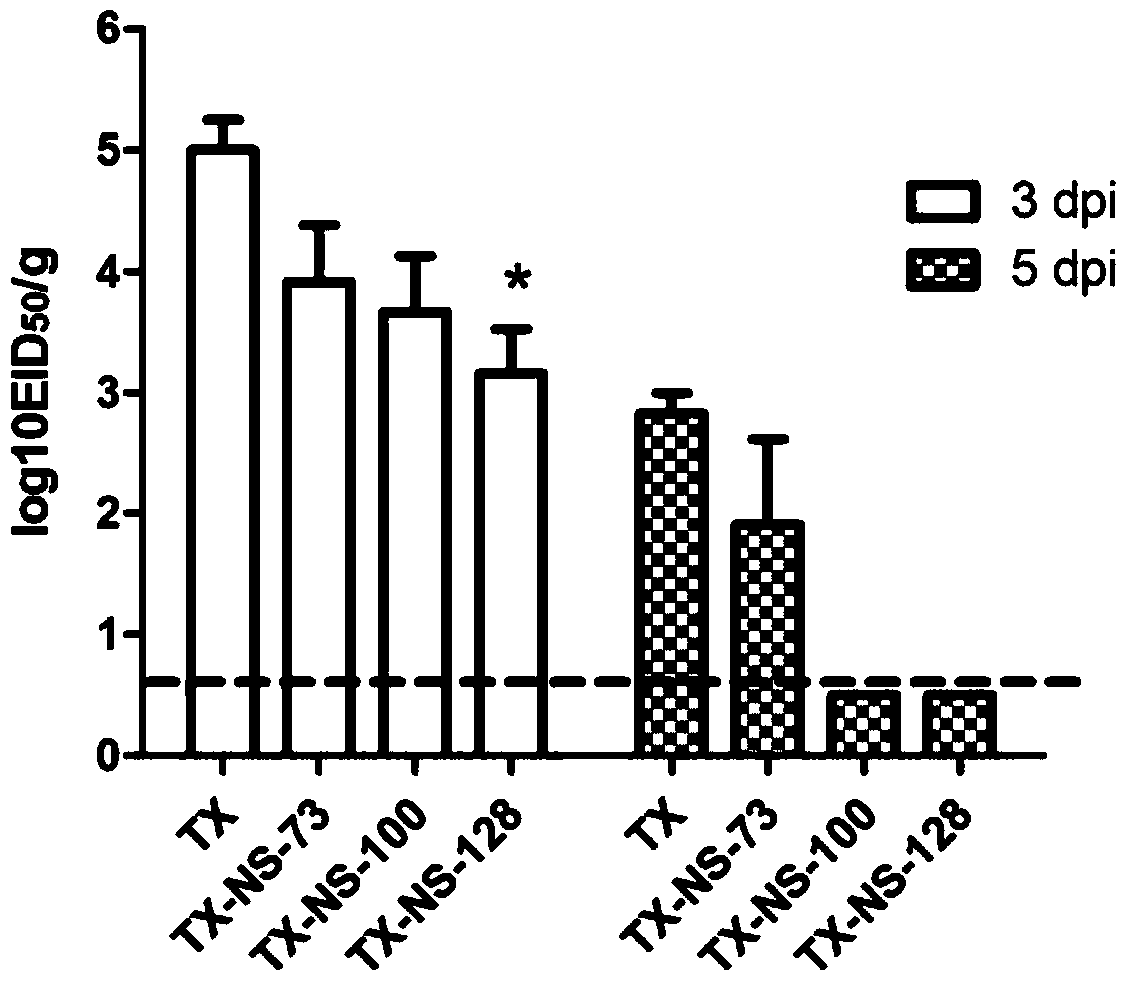 H9N2 subtype avian influenza virus ns1 gene deletion attenuated live vaccine candidate strain and its construction method and application