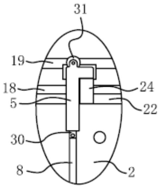 Hull surface marine organism cleaning system and cleaning method thereof