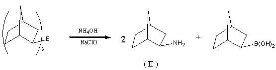 Preparation method of drug intermediate 2-aminonorbornane