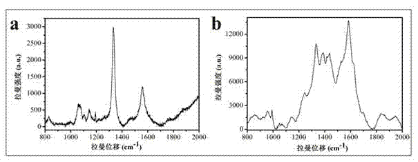 Core-shell nanogold biological probe with high SERS (surface enhanced Raman scattering) effect and preparation and application thereof