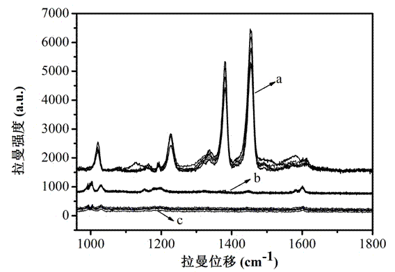 Core-shell nanogold biological probe with high SERS (surface enhanced Raman scattering) effect and preparation and application thereof