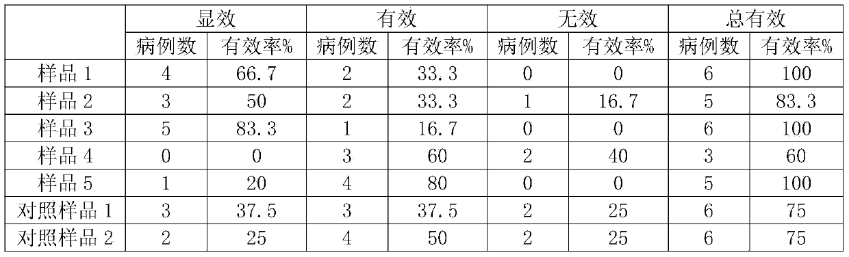 External patch with muscle and bone soothing effect and preparation method of external patch