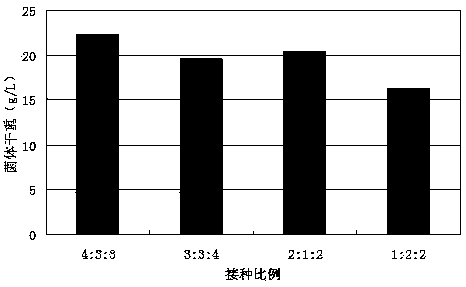 Method for producing high-quality biological feed from multiple bacteria through composite production