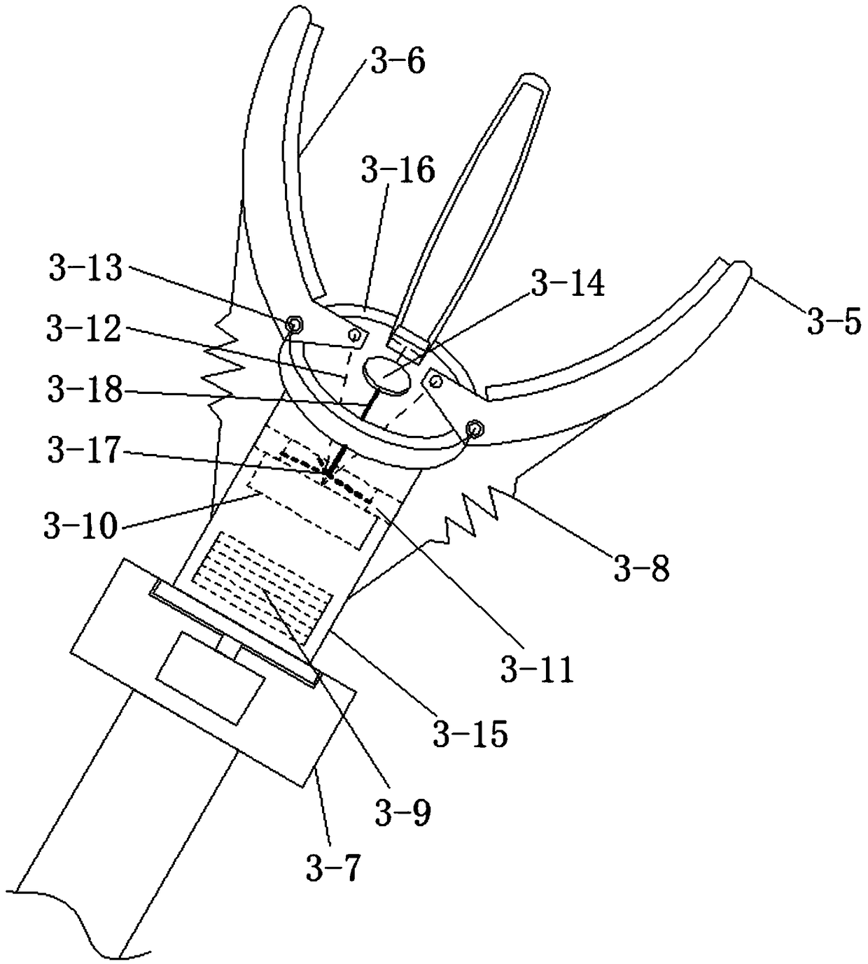 Fruit picking and sorting device