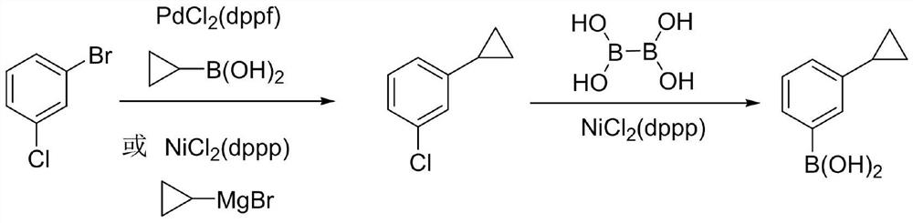 A kind of synthetic method of 3-cyclopropylphenylboronic acid