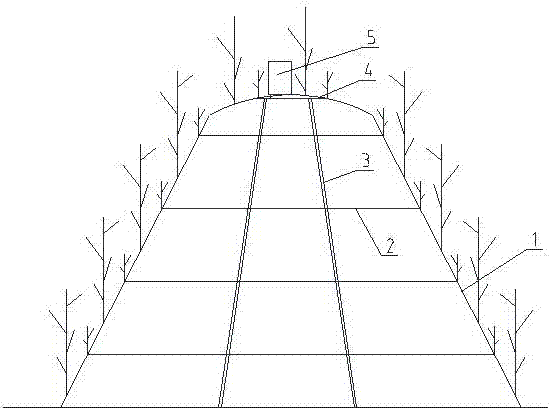 Undergrowth wild planting simulation method for rhizoma polygonati