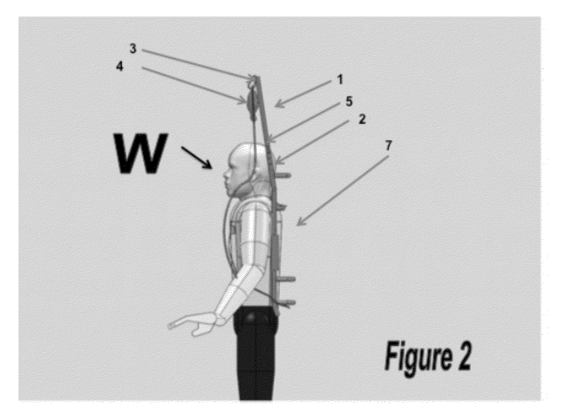 AMBULATORY INTRAVENOUS (IV) TRANSPORT AND DELIVERY DEVICE and METHOD of USE THEREOF