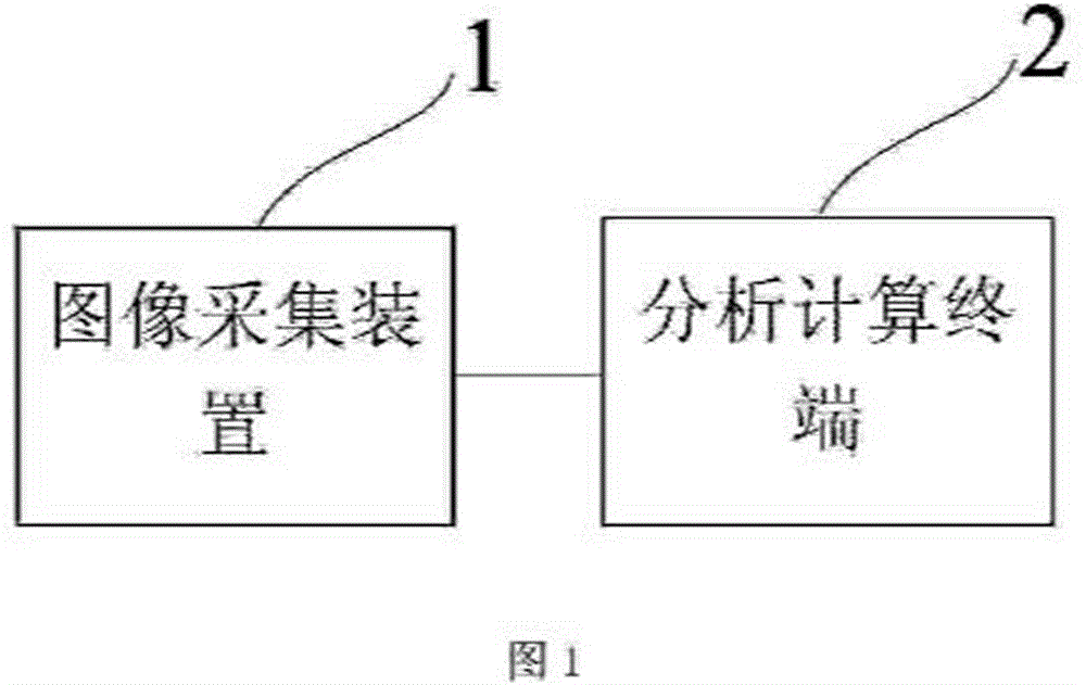 Aphid situation investigation method and apparatus