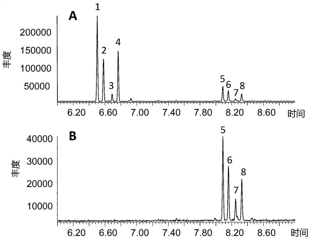 Biochemically produced sandalwood oil