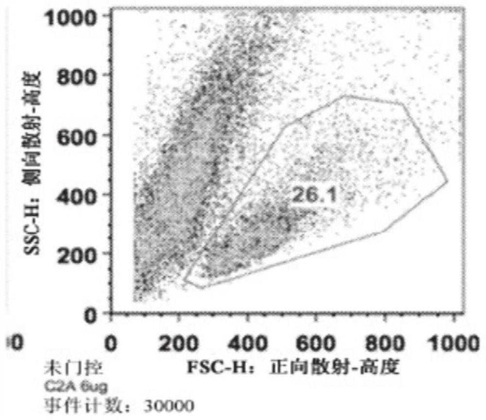 Nanoparticle formulations